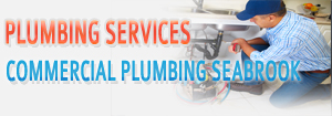toilet-repair-plumbing-service